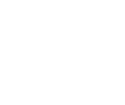 Ordre des acupuncteurs du Québec