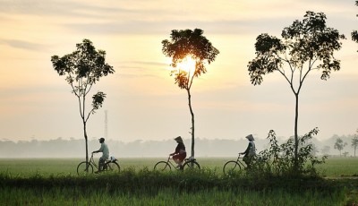 Promenade en vélo dans la nature