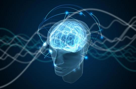 uploded_istock-1040300488-1573205692