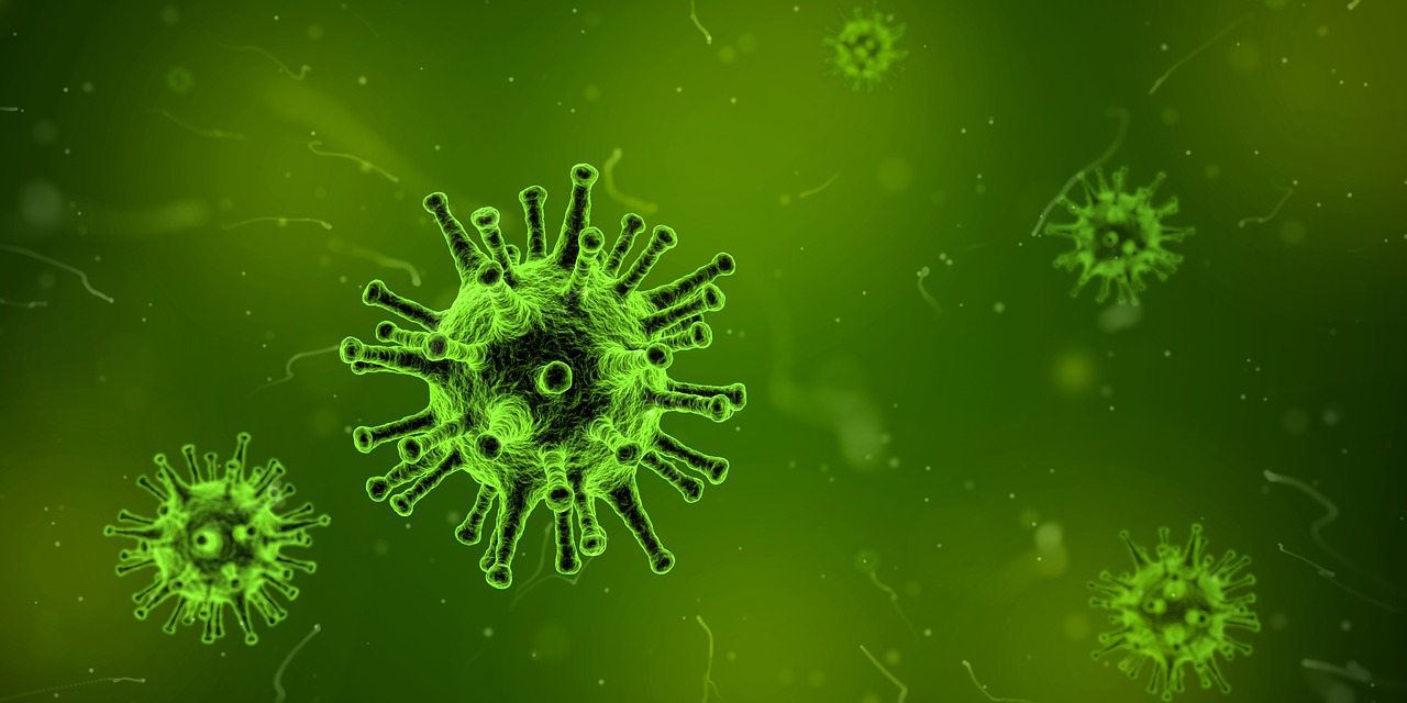 immunite-3